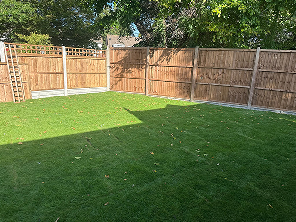 Newly laid garden turf with timber fencing and concrete posts in Selsdon